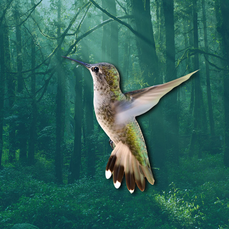 Retreat in Crete Banner